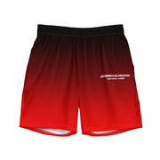 Men's swim trunks (ombre)